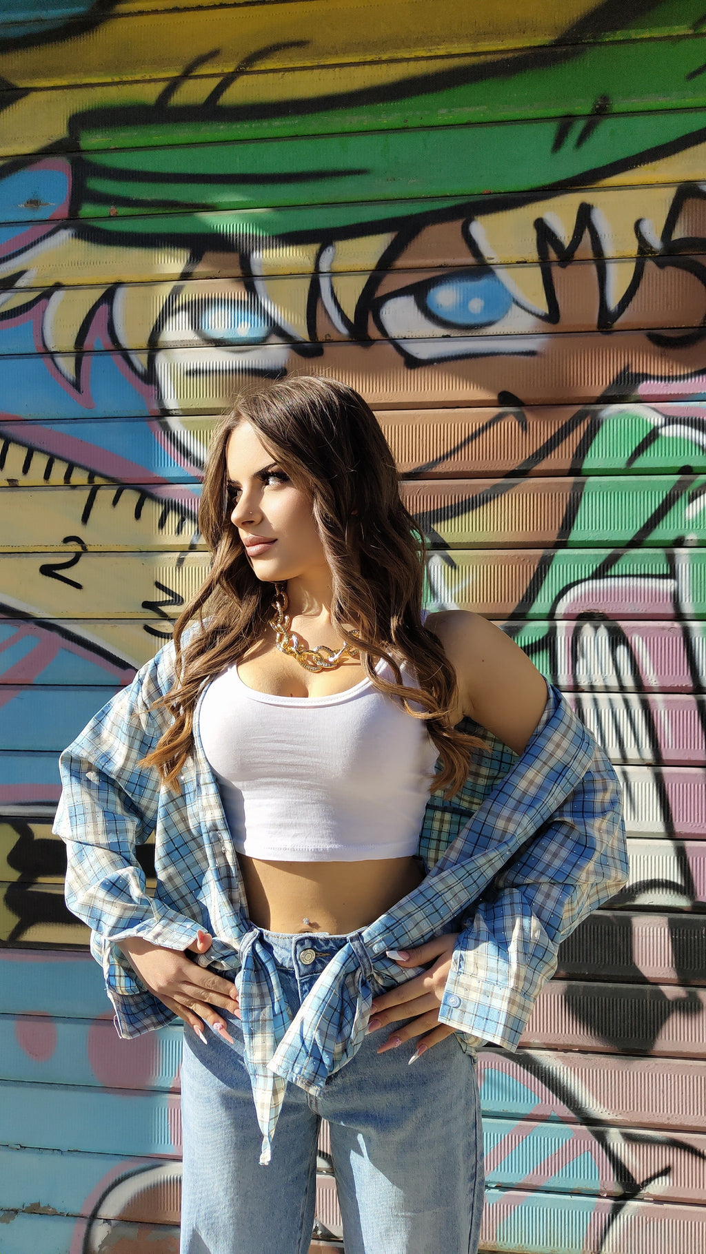 Camicia Viola Celeste